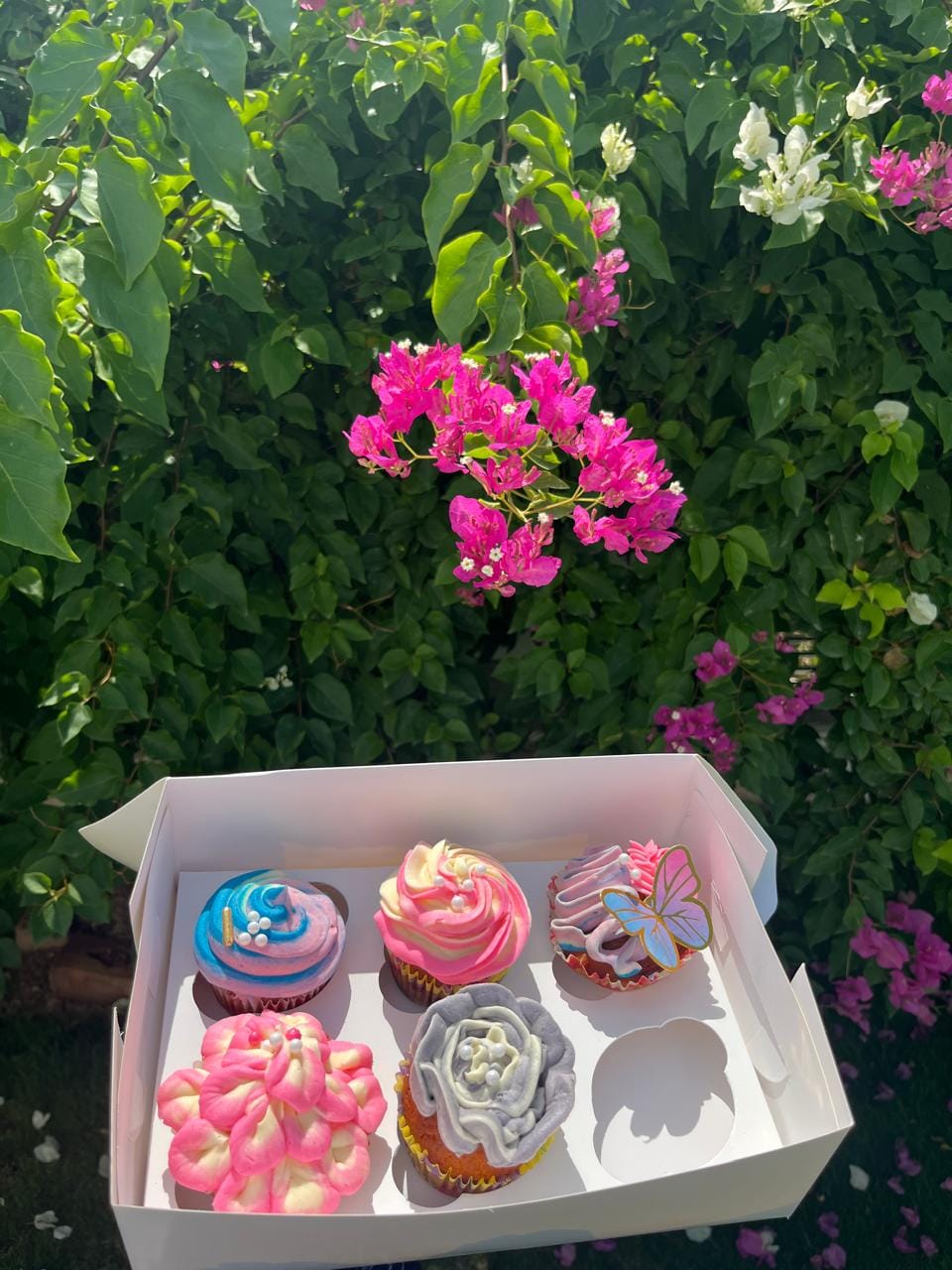 Rainbow Garden Cupcakes