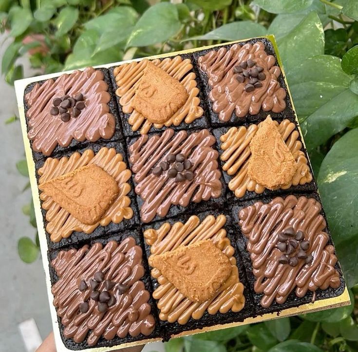 Brownie Custom Box